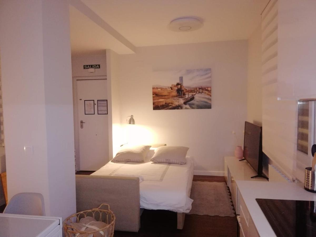 Kaixo-san Mames-bilbao Intermodal Appartement